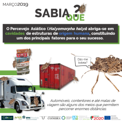 2019-03-15 - Sabia que - Halyomorpha halys