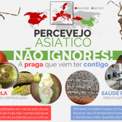 Percevejo asi†tico - vers∆o 2.1